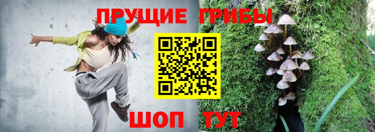 Псилоцибиновые грибы мицелий Дербент