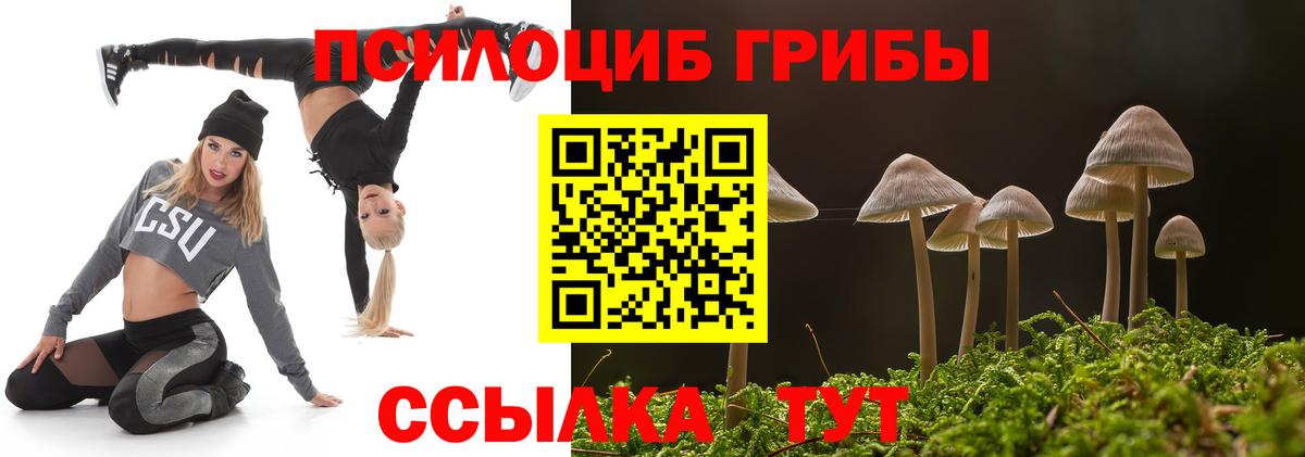 Дербент  Псилоцибиновые грибы прущие грибы  Вход с VPN 